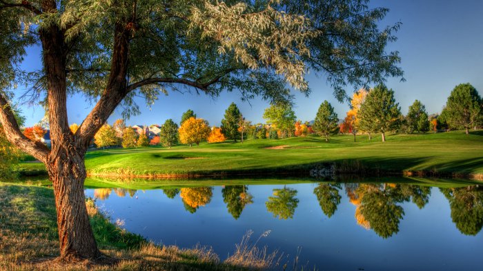 Обои на рабочий стол /100 Amazing Mixed FullHD Wallpapers v10