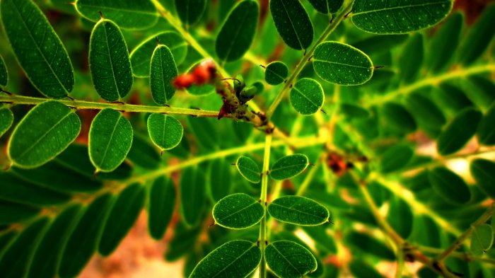 Обои на рабочий стол /100 Amazing Mixed FullHD Wallpapers v11