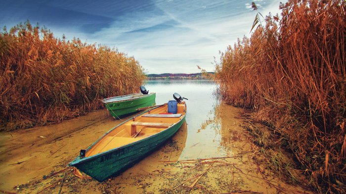 Обои на рабочий стол /100 Amazing Mixed FullHD Wallpapers v11