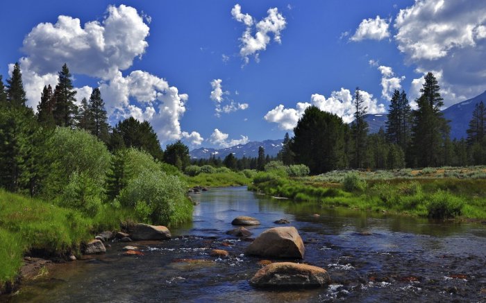 Обои на рабочий стол /Computer Desktop Wallpapers Colleion 738