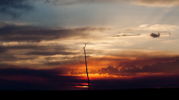 Обои на рабочий стол /Computer Desktop Wallpapers Colleion 738