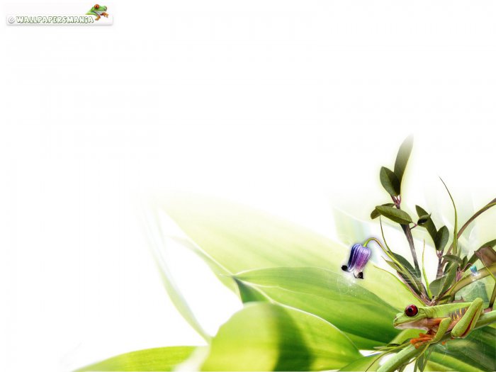 Обои на рабочий стол /Wallpapers by famdoc mix 951