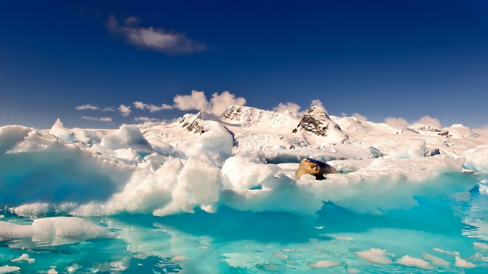 Обои на рабочий стол /Wallpapers by famdoc mix 951