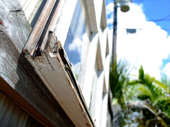 Обои на рабочий стол /Wallpapers by famdoc mix 951