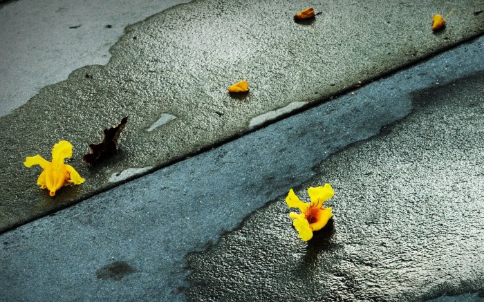 Обои на рабочий стол /Wallpapers by famdoc mix 951