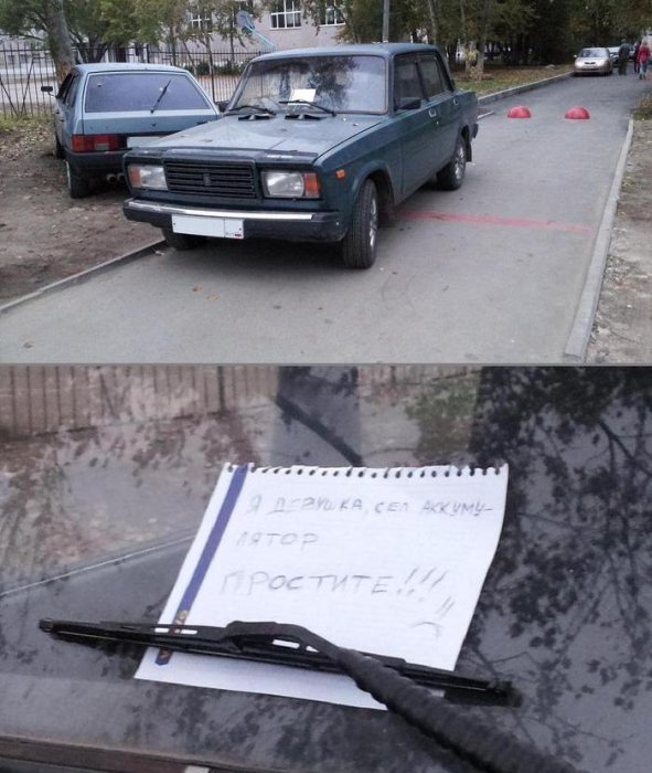 Забавные картинки