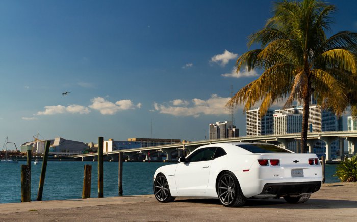 Обои на рабочий стол /Wallpapers by famdoc mix 956