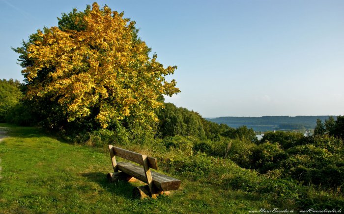 Обои на рабочий стол /Wallpapers by famdoc mix 956