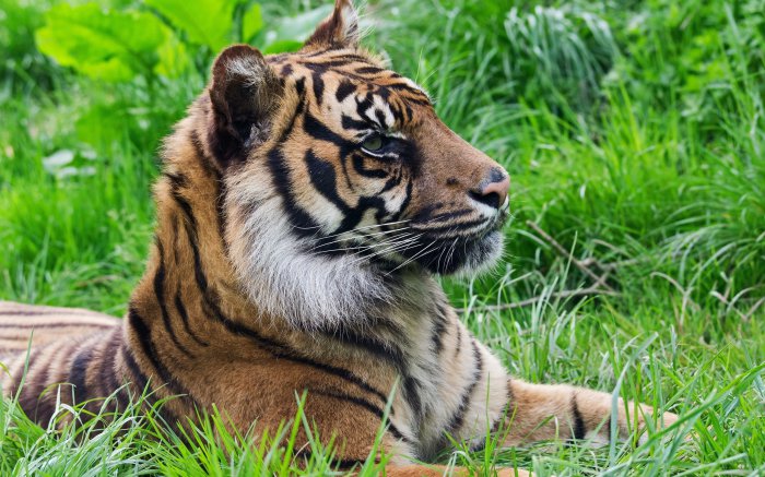 Обои на рабочий стол /Best HD Wallpapers Pack 1009 part1