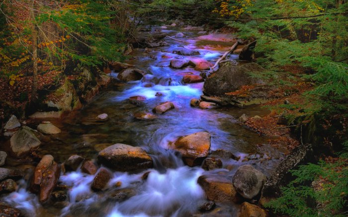 Обои на рабочий стол /Computer Desktop Wallpapers Collection 752