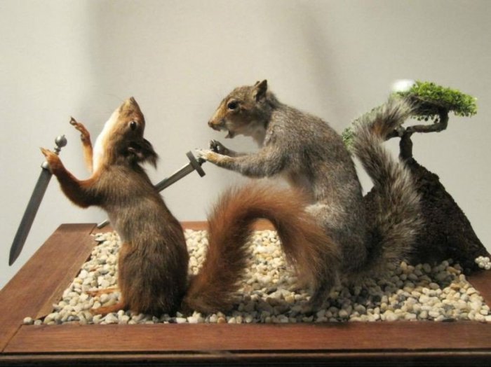 Забавные картинки