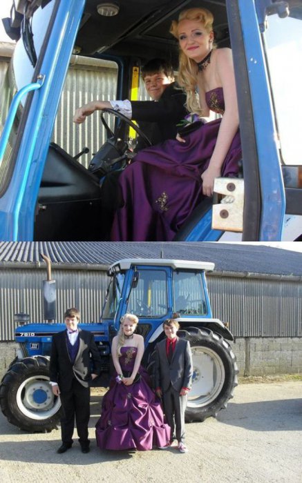 Забавные картинки