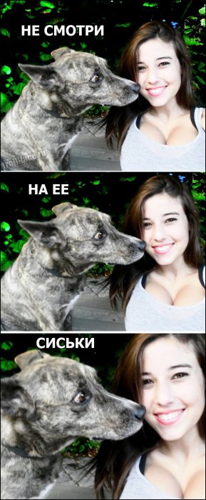 Забавные картинки