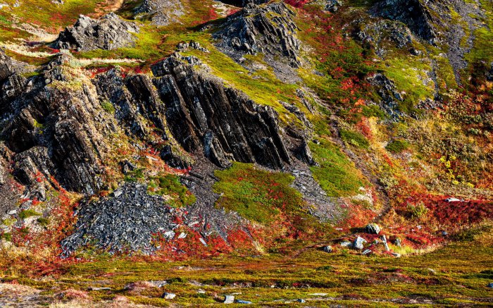 Золотая осень на Кольском полуострове. Часть 2