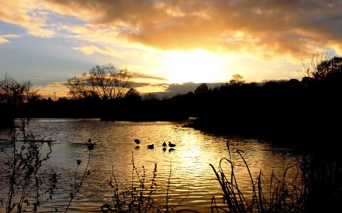 Обои на рабочий стол /Landscapes Wallpapers Collection 