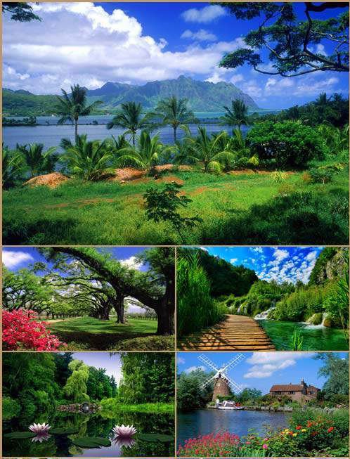 Обои на рабочий стол /Stock beautiful nature green road wallpaper Обои на рабочий стол /Stock beautiful nature green road wallpaper