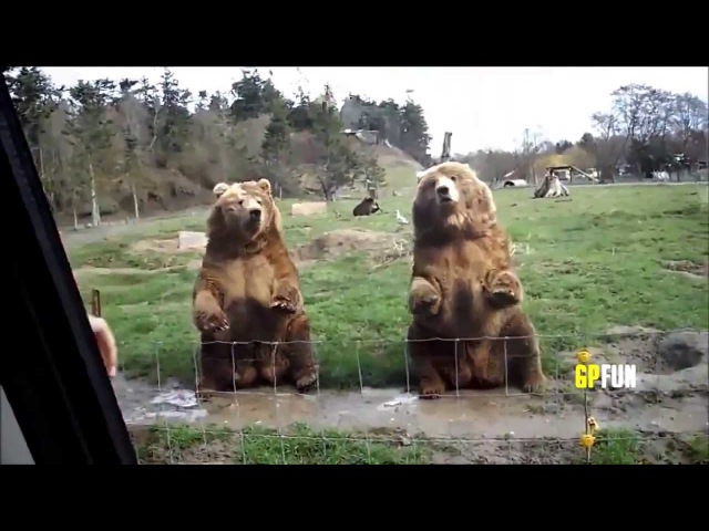 Обычный день в России