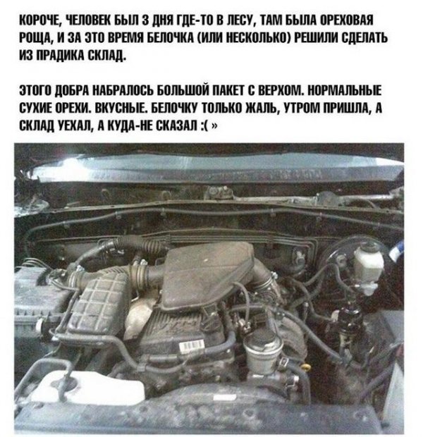 История ремонта на СТО