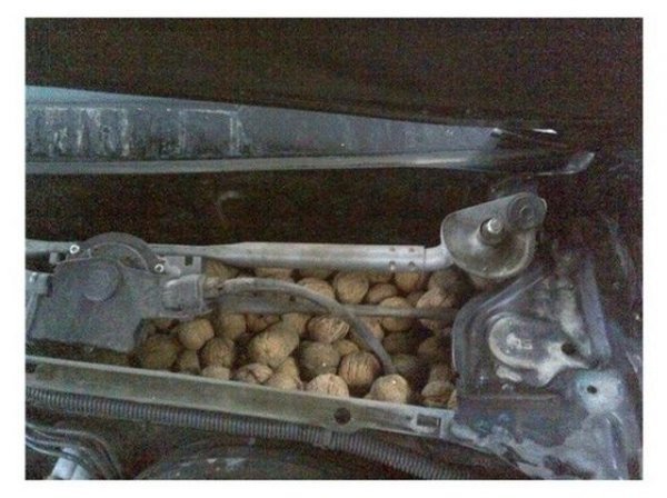 История ремонта на СТО