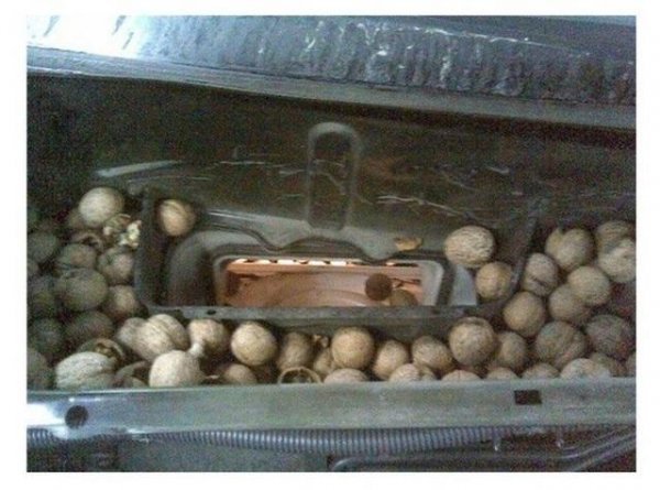 История ремонта на СТО