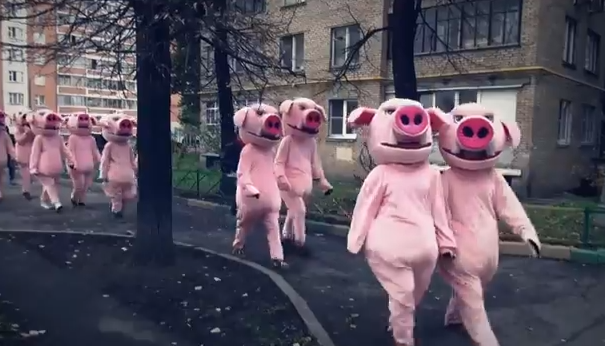 Хрюши Против - Звезда на рейде