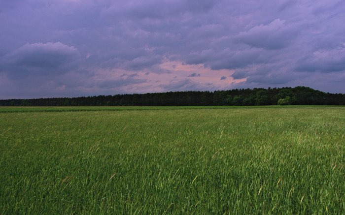 Обои на рабочий стол /100 Excelent Landscapes HD Wallpapers (Set 248)