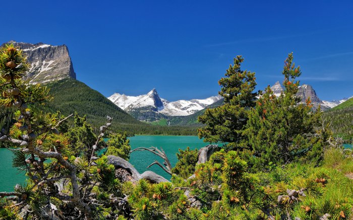 Обои на рабочий стол /100 Excelent Landscapes HD Wallpapers (Set 248)