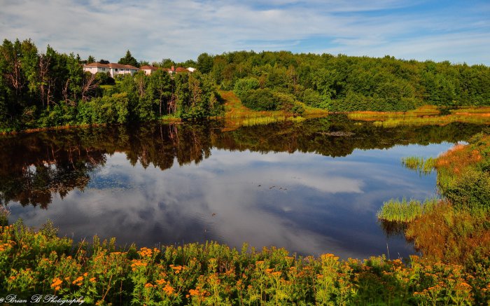 Обои на рабочий стол /100 Excelent Landscapes HD Wallpapers (Set 248)