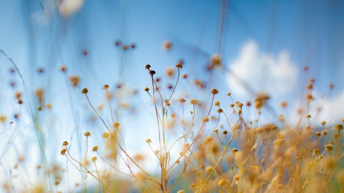 Обои на рабочий стол /Best HD Wallpapers Pack 1037