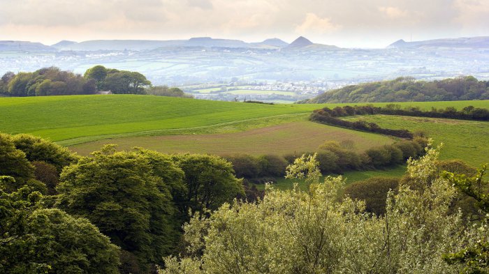 Обои на рабочий стол /Incredible Mixed Wallpapers Set 568