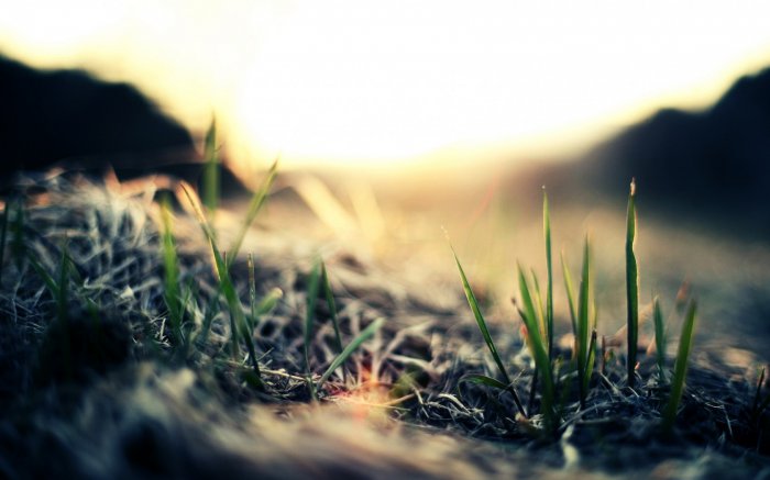 Обои на рабочий стол /Incredible Mixed Wallpapers Set 568