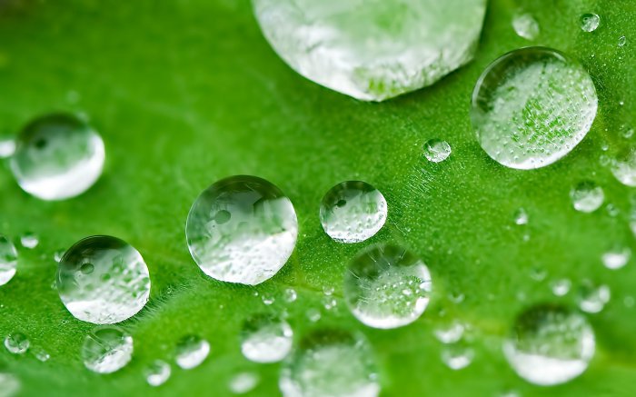 Обои на рабочий стол /Wallpapers by famdoc mix 973