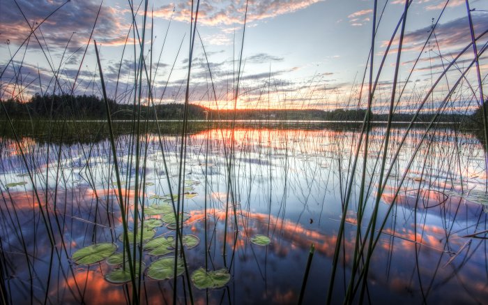 Обои на рабочий стол /Wallpapers by famdoc mix 973