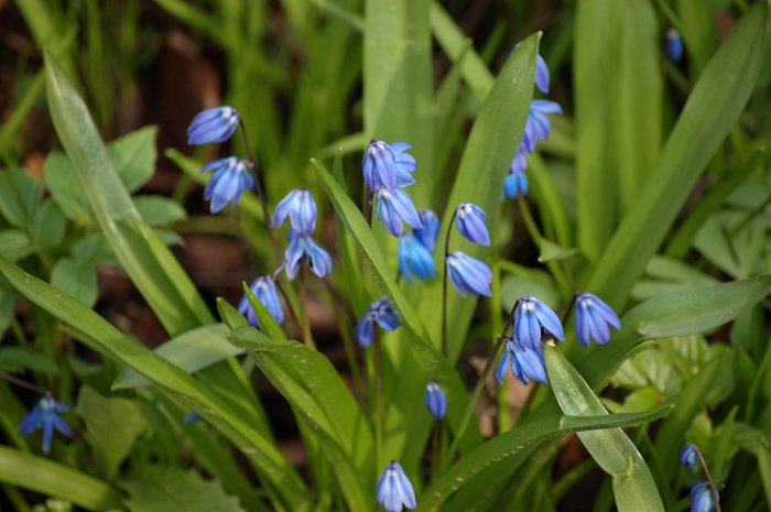 Обои на рабочий стол /Wallpapers by famdoc mix 973