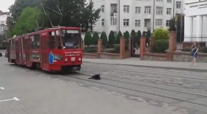 Аварии и ДТП за Октябрь 2013 Car crash compilation