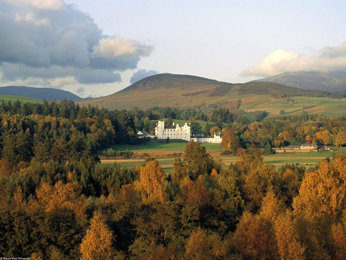 Обои на рабочий стол /Stock beautiful nature green road wallpaper