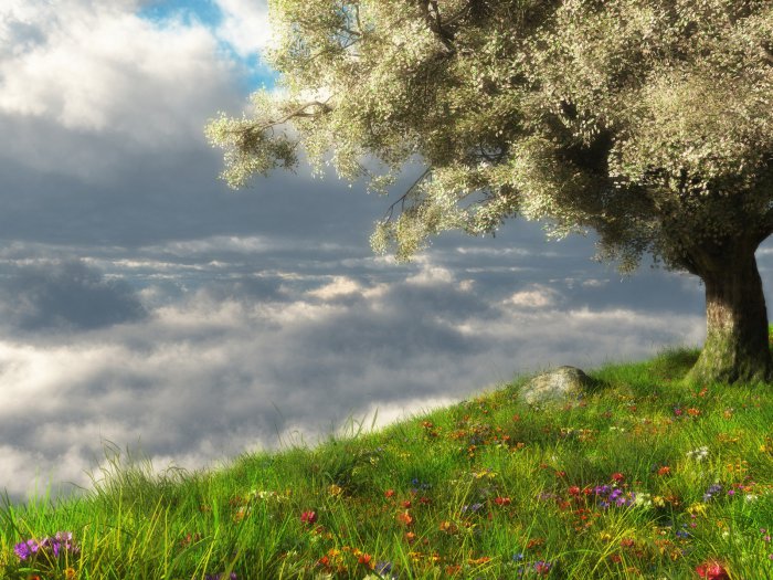 Обои на рабочий стол /Stock beautiful nature green road wallpaper