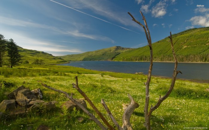 Обои на рабочий стол /Stock beautiful nature green road wallpaper