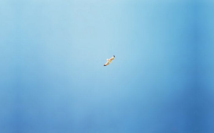 Обои на рабочий стол / Minimalizm Wallpapers