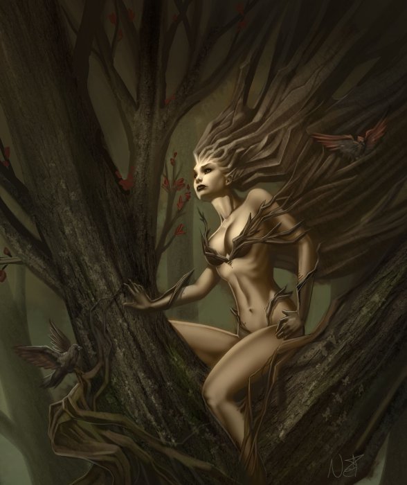 Artworks by  Tool Kitten