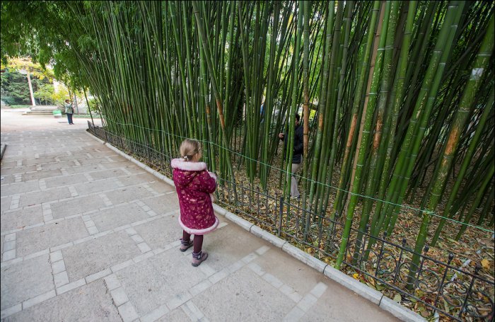 Ну что за люди?!