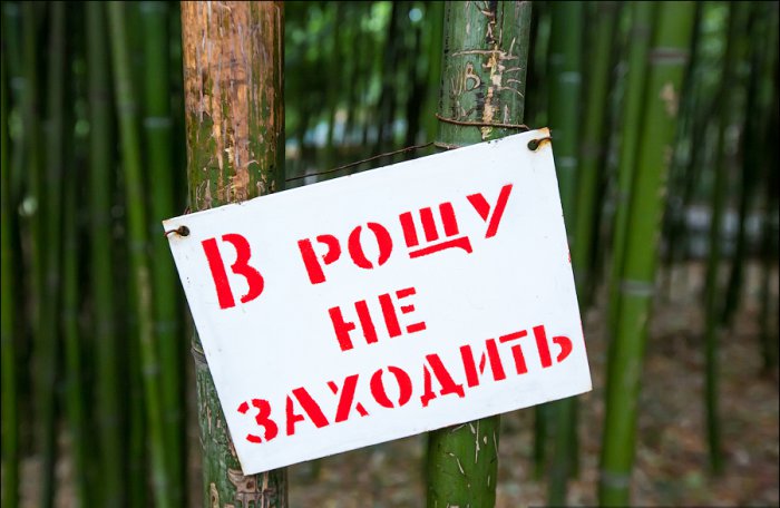 Ну что за люди?!