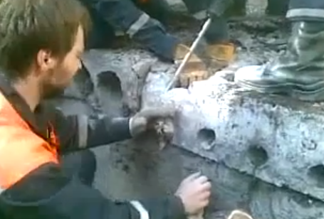 Любопытство до добра не доведет