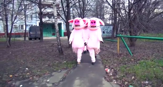 Хрюши Против - Независимый Эксперт