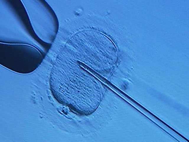 Красивые женщины продают свои яйцеклетки за десятки тысяч долларов Красивые женщины продают свои яйцеклетки за десятки тысяч долларов