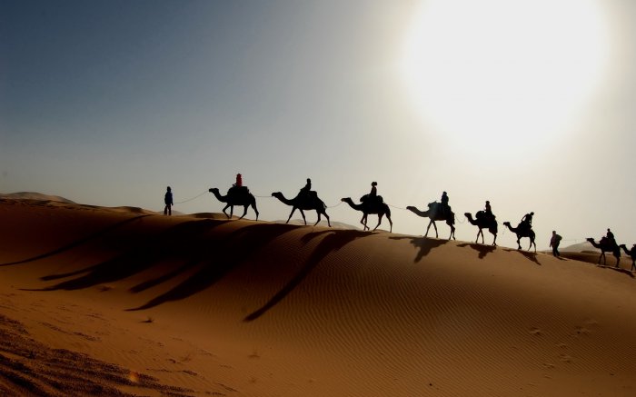 Обои на рабочий стол / Mix Wallpaper 2560 x 1600