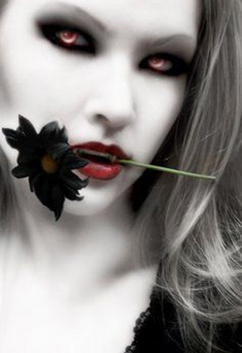 Обои на рабочий стол / Wallpapres by  Famdoc v17