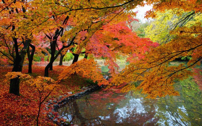 Обои на рабочий стол / Picturesque Scenery Nature Wallpapers 27