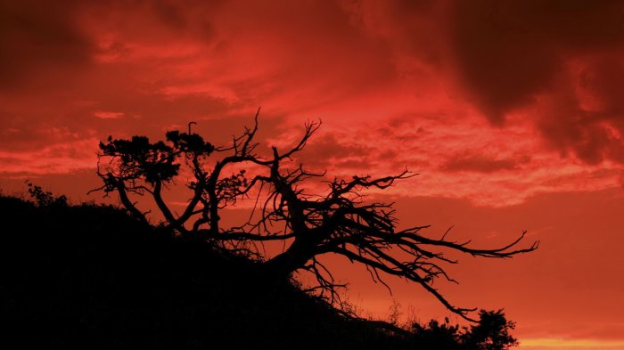 Обои на рабочий стол / Picturesque Scenery Nature Wallpapers 27