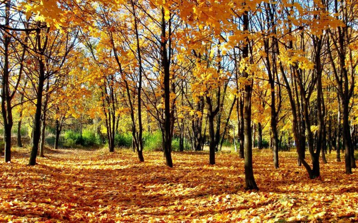 Обои на рабочий стол / Picturesque Scenery Nature Wallpapers 27